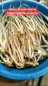 paket promosi ginseng merah Korea lengkap