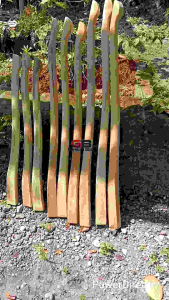 Doran Gagang Cangkul kayu Galih Lamtoro / Gagang Cangkul kayu galih tua