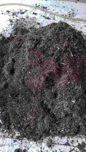 Kompos Media Tanam Humus Bambu, Eceng Gondok, Pupuk Kandang, Cocopiet, Fermentasi, Trikoderma & Jakaba