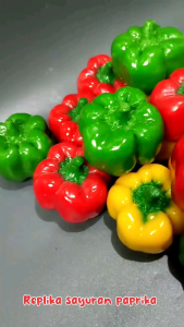 Replika buah sayuran paprika 1pcs / Mainan anak / Edukasi anak / Dekorasi meja makan / Display Restaurant Hotel Dan lain lain