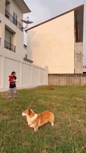 Callingbrown 💦 5 ปืนฉีดน้ำ พร้อมส่ง ราคาถูกต้อง พื้นฟิก ยิงไกล จุเยอะ สำหรับบริการชุดนั้น