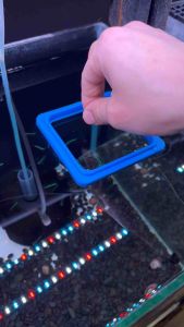 ที่กั้นอาหารปลา ห่วงกั้นอาหารปลา กันไม่ให้อาหารปลาชนิดลอยน้ำ ถูกดูดเข้าไปในเครื่องกรอง | บ้านไม้น้ำ🌿 ที่กั้นอาหารปลา แบบไหนดี ที่กั้นอาหารปลา ราคา - Lazada