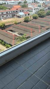 Essen Ikan Mas Harian Rame Indukan ORIGINAL Aroma cabe sereh melati