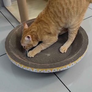 [猫抓板] Cat scratcher bowl XL size 50cm