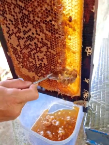 mật ong tự nhiên