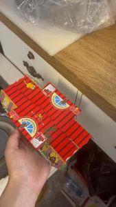 LKH Perangkap Cicak Dan Lipas Sangat Berkesan / Cockroach and Lizard Sticky Glue Trap /  壁虎蟑螂屋 1pcs