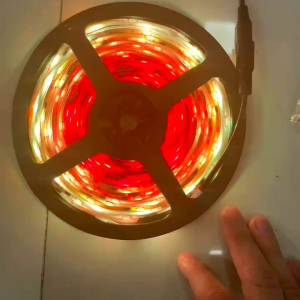 LED STRIP ROLL 5050 MATA BESAR RGB 12VOLT & 24VOLT IP65 WATERPROOF