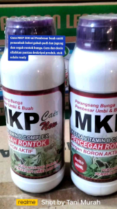 GAZA MKP 500 ml Plus Boron Vit B Komplek Amino Ga5 dan Zat Anti Jamur cegah rontok bunga pembesar buah umbi penambah bobot gabah jagung