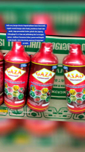 GAZA GENERATIF 1 liter Harga grosir Pembesar buah dan umbi dan penambah bobot gabah dan mencegah rontoknya bunga calon buah
