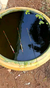 ทุ่นไร้สารทุ่นอ้อหางกระเบนลูกหมุนเบอร์8บอดี้4มิลยาว9ซม.