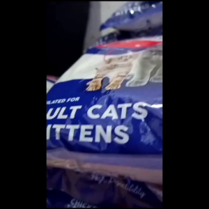 Makanan Kucing Beauty 800 Gr Premium