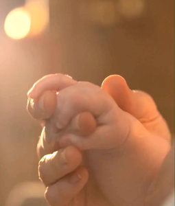 Baby Dove Hypoallergenic Baby Oil 247mL Gentle Moisturizing Moringa Oil Vitamins Safe for Newborns