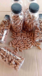 Kapsul Buah Pinang Isi 100 Herbal Alami