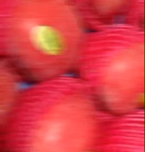 JV APLE PUJI IMFORT SUPER FRESS MANISS 1kg.