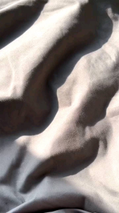 cushion 2 trong 1 gogotales kèm mút