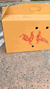 ส่งไว กล่องไก่ชน กล่องกระดาษใส่ไก่ชน เจาะรู กระดาษหนา มีหูหิ้ว ขนาด 25 x 60 x 40 ซม. มีบริการเก็บเงินปลายทาง