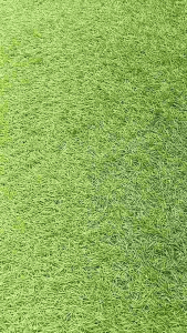 SENDAL SLIP JELLY BISA COD