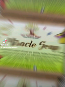 Miracle Soap (Collagen Niacinamide soap)