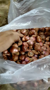 Bawang Merah Kiloan
