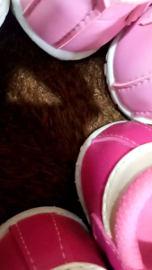 Sepatu Anak Perempuan 1-3 Tahun: Tips & Pilihan Terbaik