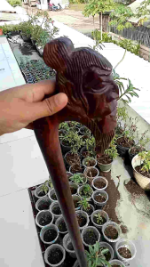 Tongkat Jalan Kayu Galih Asem Ukir Brahmana