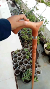 Tongkat jalan kayu nogosari nagasari model habib profil  premium