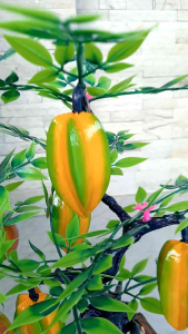 Bonsai Buah kayu/bonsai imitasi tinggi 35 cm
