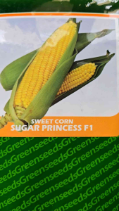 Sweet Corn Seeds SUGAR PRINCESS F1 by FA GREEN SEEDS Corporation