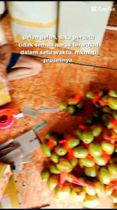 BUAH KEDONDONG BANGKOK 1kg Segar Petik