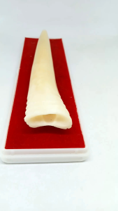 kerajinan once tulang kerbau model taring taringan