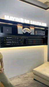 ⚡SG Official Distributor⚡MAYIN MAX LED Light || ALL-IN-1 Tanning & Viewing Light