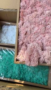 ดอกไม้แห้ง มอส หญ้ามอส มอสแห้ง มอสย้อมสี 10 กรัม 35 บาท พร้อมส่งจาก กทมเลยจ้า