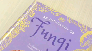 Koleksi 100 Jenis Jamur: Panduan Jamur untuk Penyuka Alami