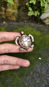 Knob Laci Lemari Meja Kuningan Antik Motif Kura Kura 1 Pcs