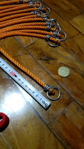 chicken short leash