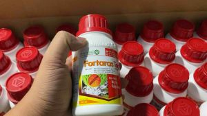 Thuốc trừ sâu Fortaras Top 247SC (chai 240ml) sâu rầy rệp sáp bọ trĩ mát cây mát bông cho cây ăn trái Sầu riêng Bưởi Cà phê Lúa.