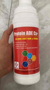 Protein Ade Ca+ Nuôi Gà Tơ Lên Khung Trổ Mã Nở Cơ Ra Lông Mượt Phục Hồi Sức Khoẻ Tăng Miễn Dịch (1L)