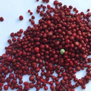 250 gr PUPUK MERAH SLOW RELEASE Kemasan Botol Bening Plastik