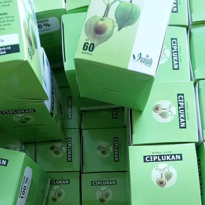 Ciplukan Inayah isi 60 Kapsul