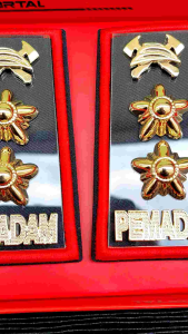 Pangkat Pemadam 4a - Pangkat Damkar 4a