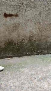 Giày da cao gót thời trang công sở nuddo thiết kế sành điệu da mịn mũi nhọn - Vincent Shop