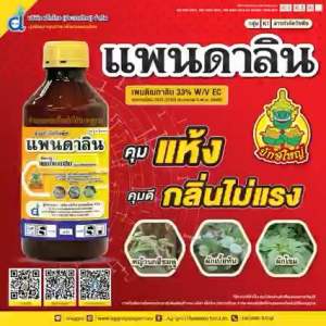 เพนดิเมทาลิน 33% แพนดาลิน แอ็กโกร ยักษ์ใหญ่ คุมแห้ง ในนาข้าว สวนหอม กระเทียม ขนาด 1 ลิตร