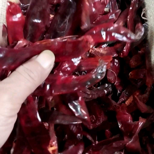 1kg Cabe Merah Besar Tidak Pedas