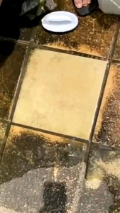RAJS TOILET CLEANER cairan pembersih kerak keramik kamar mandi pembersih Toilet