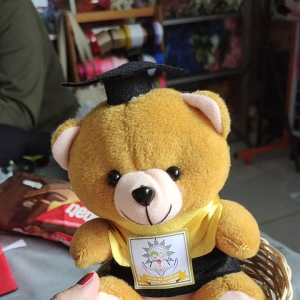 Boneka Wisuda Keranjang / kado boneka wisuda / Hampers Wisuda / Hadiah Wisuda Pakai keranjang bisa pakai Piala Boneka