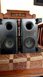 speaker pasif salon POLYTRON PLD 24D123 PLD24D123 bisa buat blutut rakitan