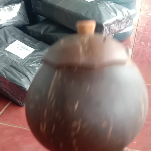 Celengan Batok Kelapa Asli: Desain Eco-Friendly & Tahan Lama