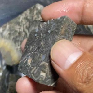Mengenal Bongkahan Batu Posil Akik / Batu Akik Unik Antik / Lempengan Batu Akik