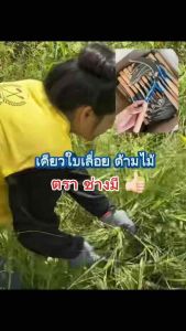 🔥พร้อมส่ง🔥เคียวลาว เคียวใบเลื่อย คม บาง ลับคมได้ ด้ามไม้จับกระทัดรัด