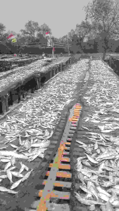 ikan asin layur gurih fresh